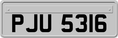 PJU5316
