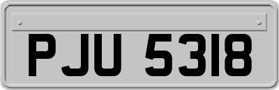 PJU5318