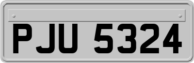 PJU5324