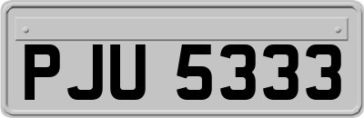 PJU5333