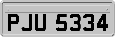 PJU5334