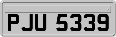 PJU5339