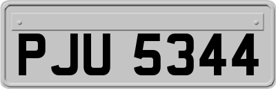 PJU5344