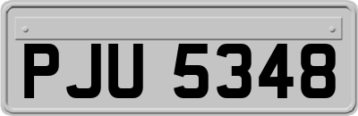 PJU5348