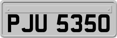 PJU5350