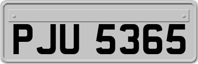 PJU5365