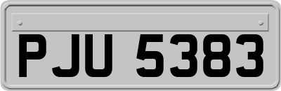 PJU5383