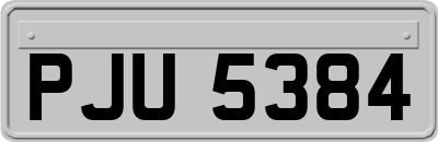 PJU5384