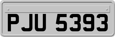PJU5393