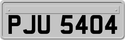 PJU5404