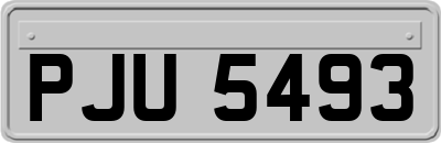 PJU5493