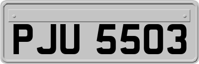 PJU5503
