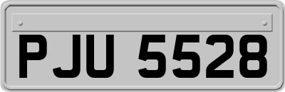 PJU5528