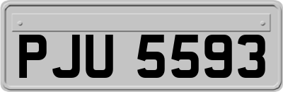PJU5593