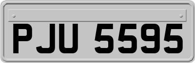 PJU5595