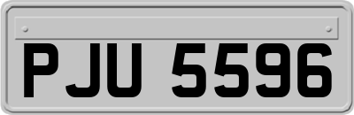 PJU5596