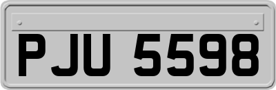 PJU5598