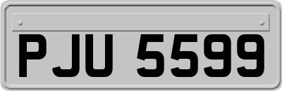 PJU5599