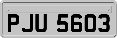 PJU5603