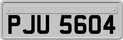 PJU5604