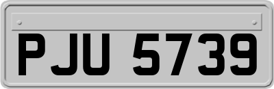 PJU5739