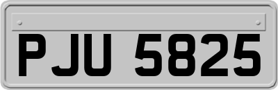 PJU5825