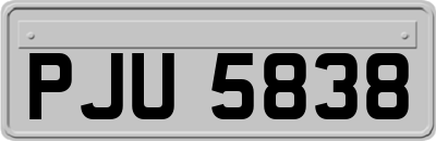 PJU5838