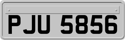 PJU5856
