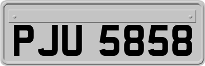 PJU5858