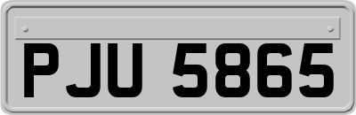 PJU5865