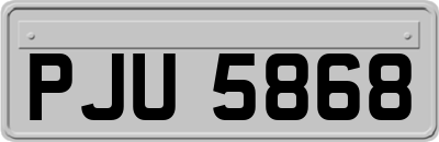 PJU5868