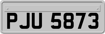 PJU5873