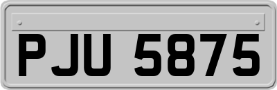 PJU5875