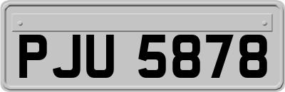PJU5878