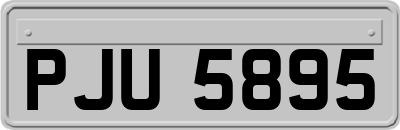 PJU5895