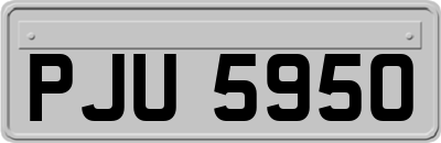 PJU5950