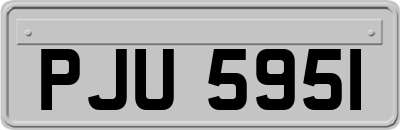 PJU5951