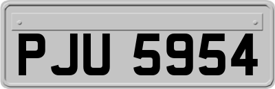 PJU5954