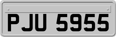 PJU5955