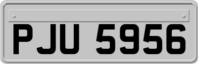 PJU5956