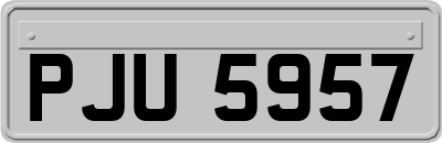 PJU5957