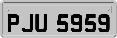 PJU5959