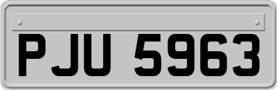 PJU5963
