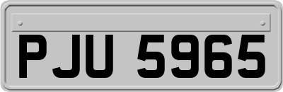 PJU5965