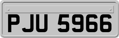 PJU5966