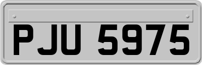 PJU5975