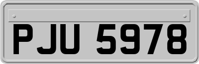 PJU5978