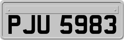 PJU5983