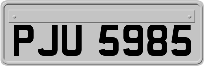 PJU5985