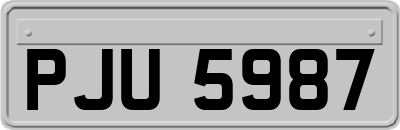 PJU5987
